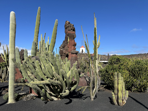 Jardín de Cactus auf Lanzarote