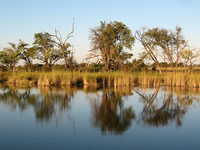 Lagune im Okavango Delta