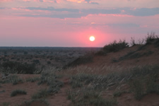 Sonnenaufgang über der Kalahari
