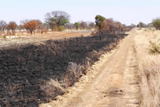 Grenze Zimbabwe-Botswana