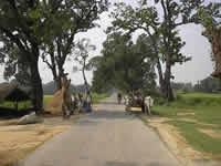 Irgendwo auf der Landstrasse zwischen Rampur und Lucknow