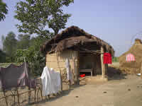 Strohhaus im Terai, in der Nähe von Sauraha