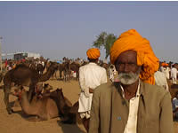Kamelhändler in Pushkar