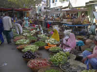 Auf dem Gemüsemarkt