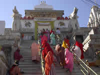 Frauen auf dem Weg zu einem Tempel in Udaipur