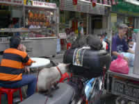 In Chinatown sieht man allerlei, auch motorradfahrende Katzen