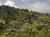 Siedlung der Orang Asli