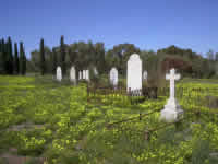 Die Wildblumen erobern auch den Pionierfriedhof von Greenough