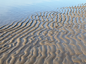 Sandwellen im zurückweichenden Meer