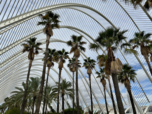 L’Umbracle (valencianisch für Sonnendach resp. Schattenhaus)