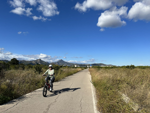 Fast überall hat es Fahrradwege