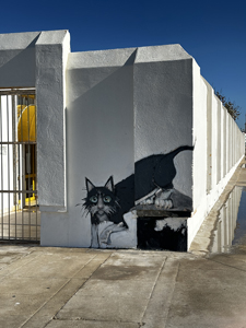 Kein Banksy, aber trotzdem schön: Katzen-Graffiti in Cádiz
