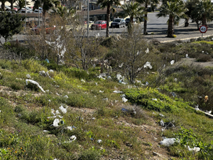 Plastikmüll am Strassenrand